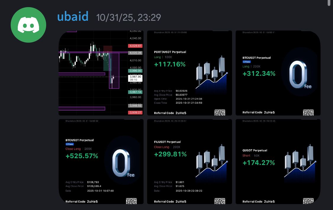 WhatsApp Image 2026-01-27 at 23.23.46 (2)